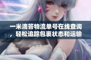 一米滴答物流单号在线查询，轻松追踪包裹状态和运输信息