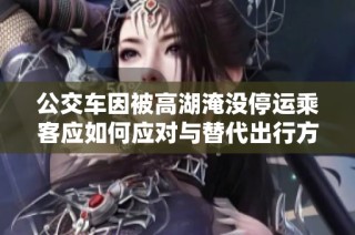 公交车因被高湖淹没停运乘客应如何应对与替代出行方式探讨