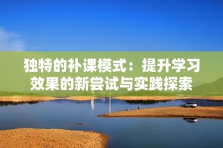 独特的补课模式：提升学习效果的新尝试与实践探索