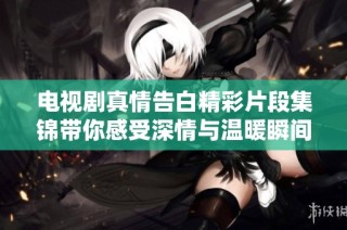 电视剧真情告白精彩片段集锦带你感受深情与温暖瞬间