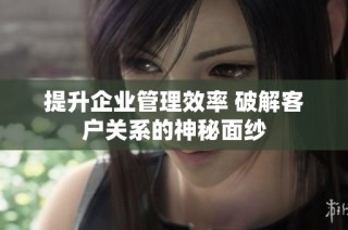 提升企业管理效率 破解客户关系的神秘面纱