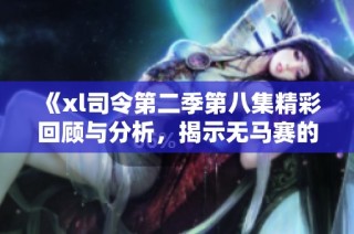 《xl司令第二季第八集精彩回顾与分析，揭示无马赛的秘密与谜团》