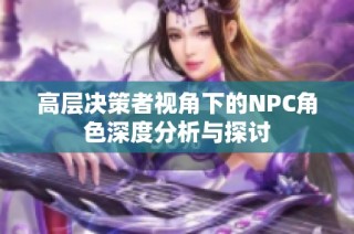 高层决策者视角下的NPC角色深度分析与探讨