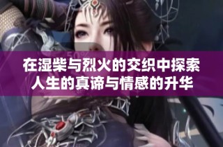 在湿柴与烈火的交织中探索人生的真谛与情感的升华