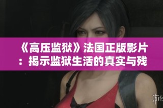 《高压监狱》法国正版影片：揭示监狱生活的真实与残酷的故事