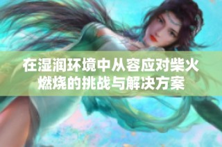 在湿润环境中从容应对柴火燃烧的挑战与解决方案