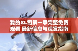 我的XL司第一季完整免费观看 最新信息与观赏指南请查看