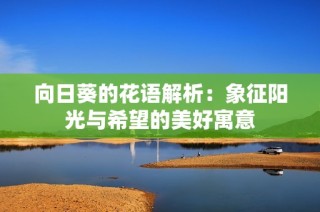 向日葵的花语解析：象征阳光与希望的美好寓意