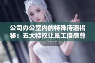 公司办公室内的特殊待遇揭秘：五大特权让员工倍感尊崇与关怀