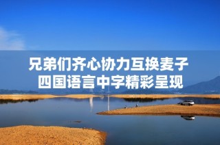 兄弟们齐心协力互换麦子 四国语言中字精彩呈现