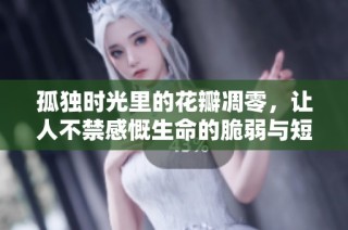 孤独时光里的花瓣凋零，让人不禁感慨生命的脆弱与短暂之美